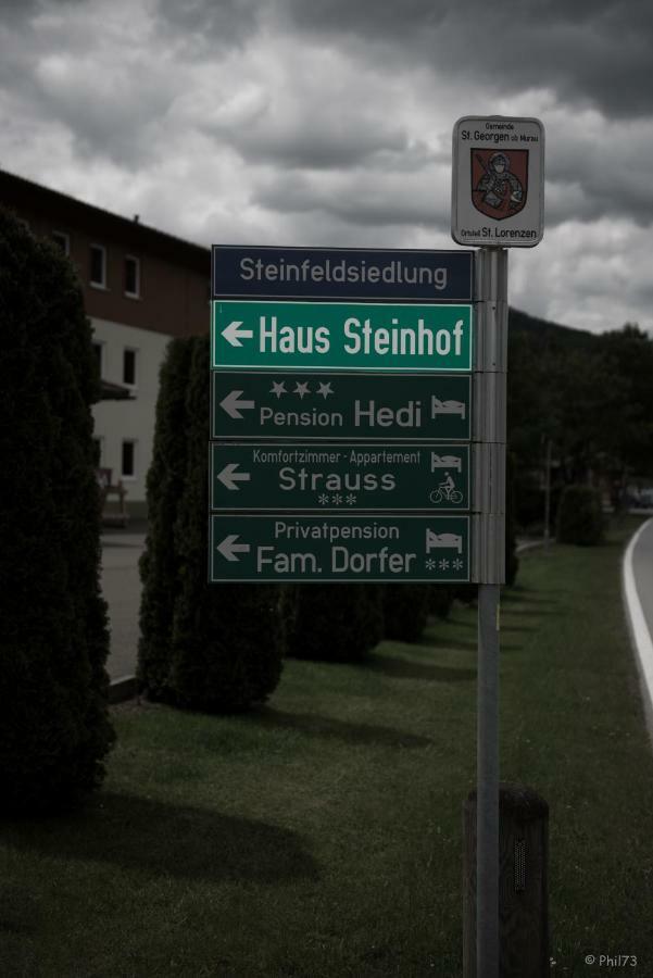 הוילה סנט לורנזן אוב מוראו Haus Steinhof מראה חיצוני תמונה
